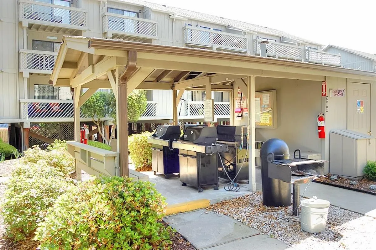 A communal grilling and picnic area with multiple grill stations, picnic tables, and neatly landscaped shrubs. The setting is relaxed and inviting, highlighting opportunities for alfresco dining and social gatherings.